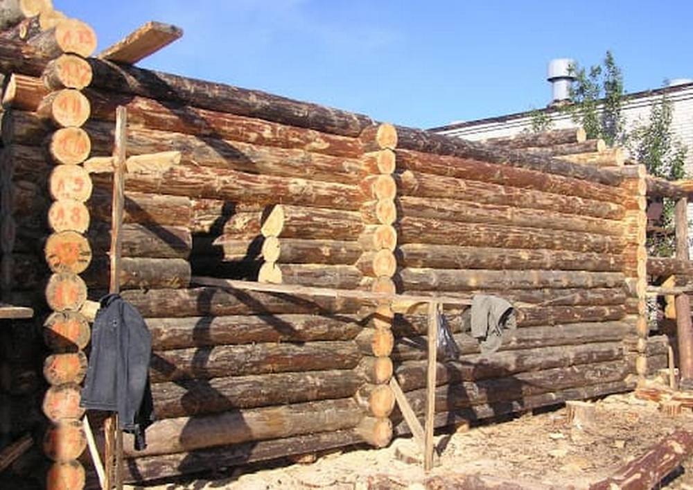 дом из бревна